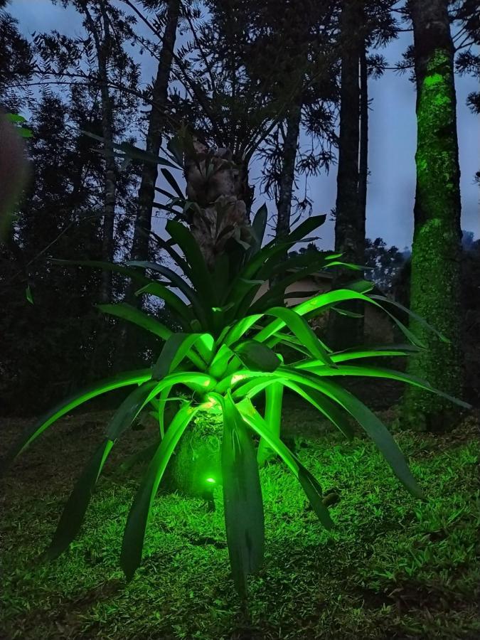 Chales Descanso Na Serra Monte Verde  Zewnętrze zdjęcie