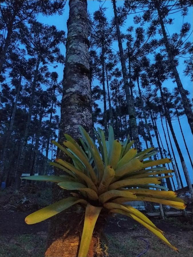 Chales Descanso Na Serra Monte Verde  Zewnętrze zdjęcie