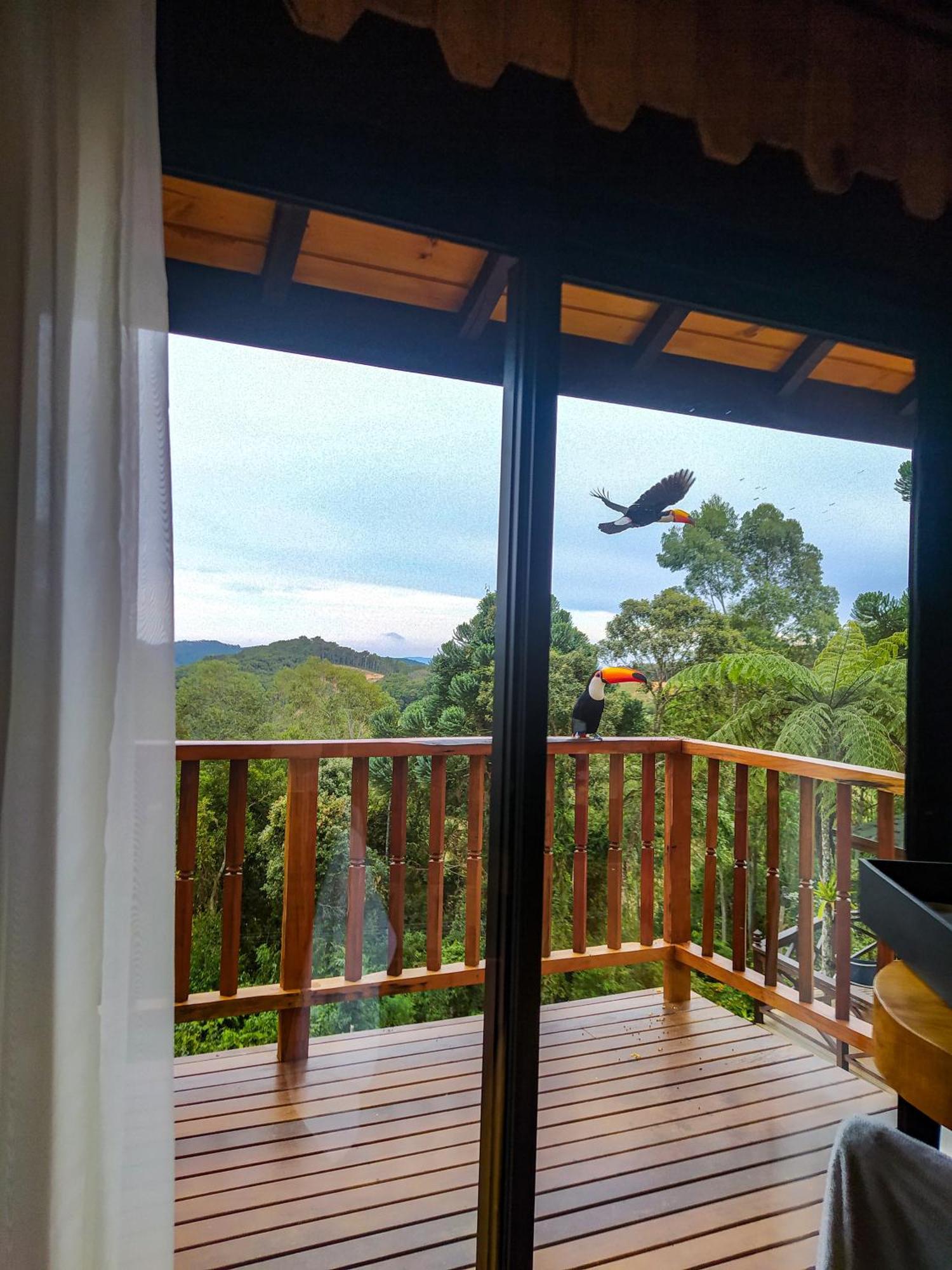 Chales Descanso Na Serra Monte Verde  Pokój zdjęcie
